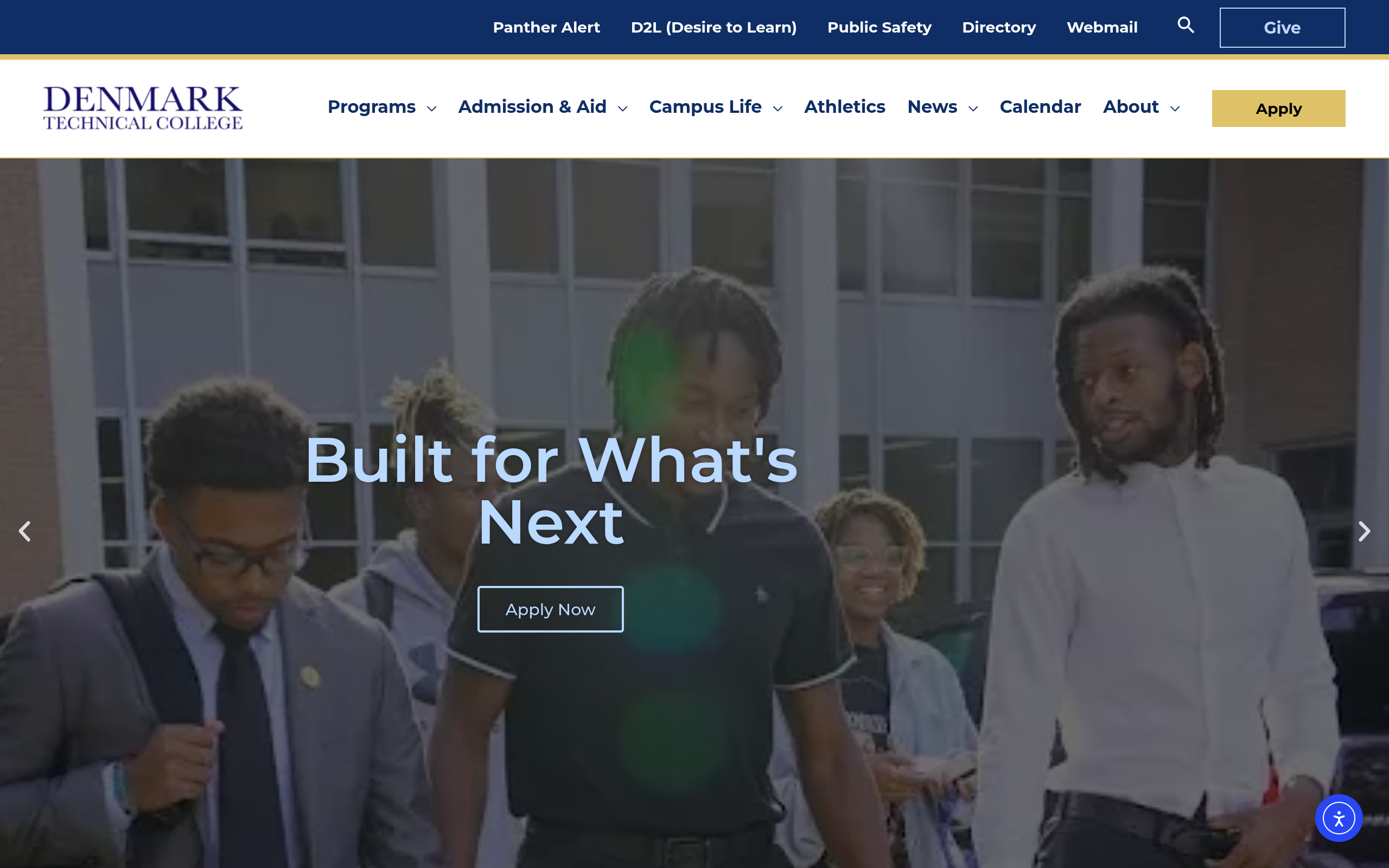Denmark Technical College project by Websolverz